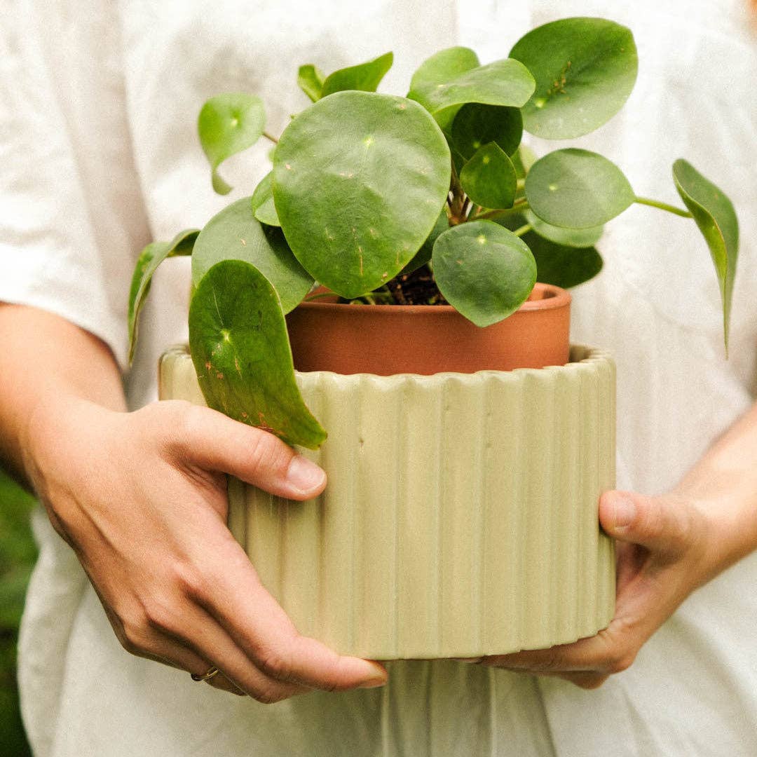 Self-watering pot Paula (M) – sage green