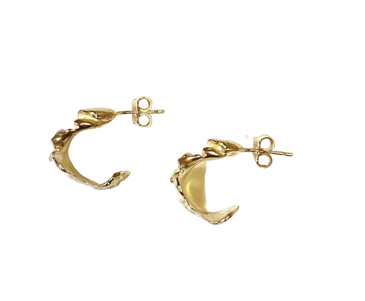 Small Fragmented Shell Hoops