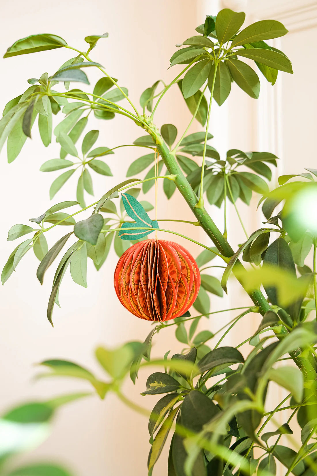 Honeycomb Orange