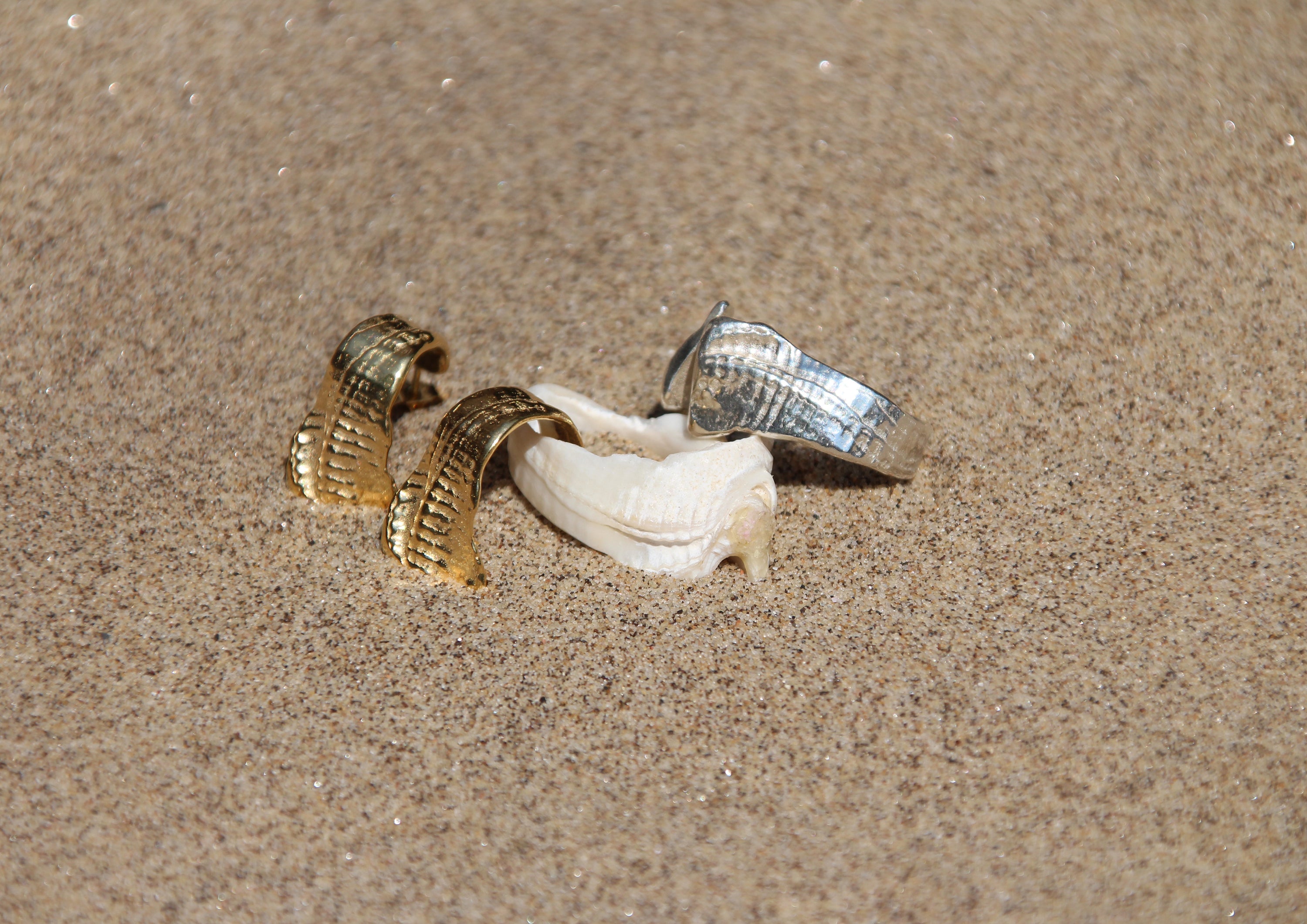 Shell texture earrings