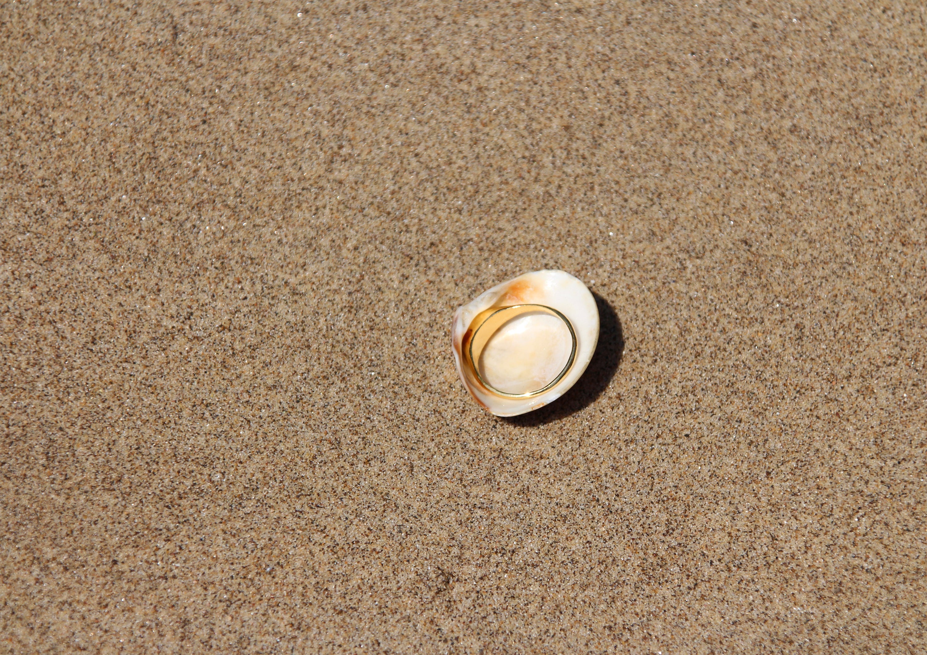 Venus Clam Ring - Silver