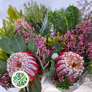 Protea Bunch