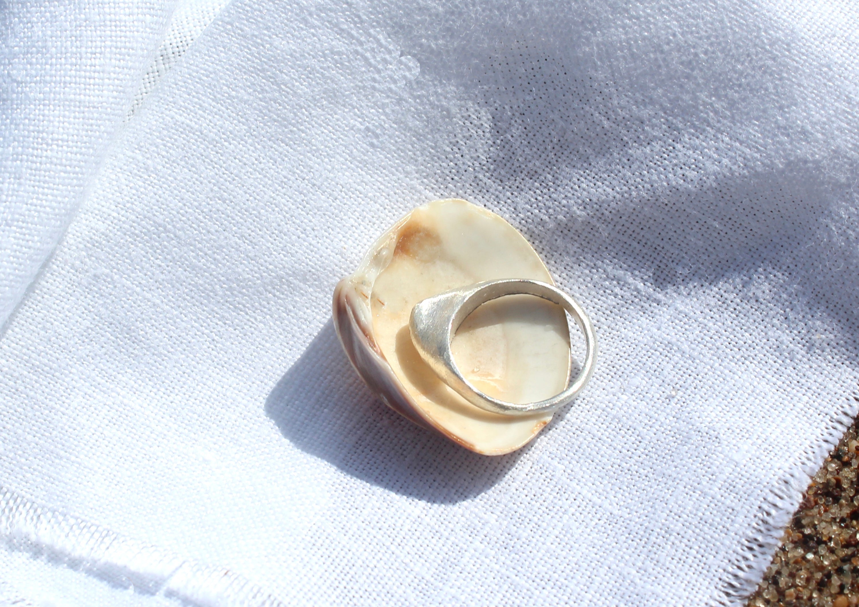 Venus Clam Ring - Silver