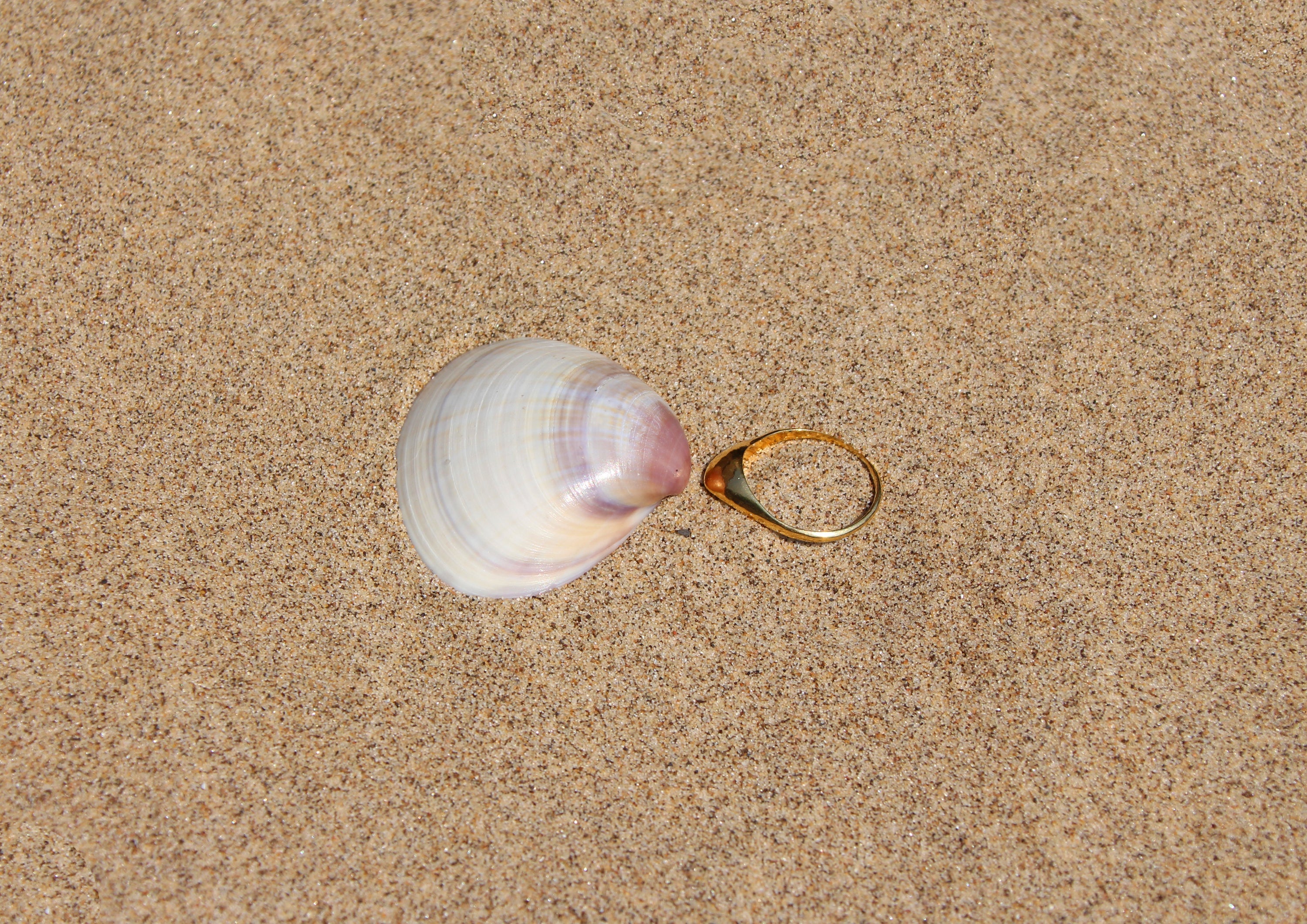 Venus Clam Ring - Silver