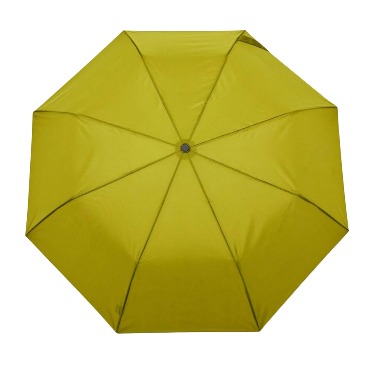Duckhead Umbrellas