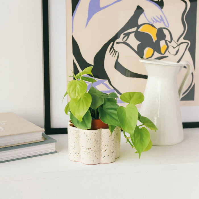 Small Paula Self-Watering Pot - Textured White
