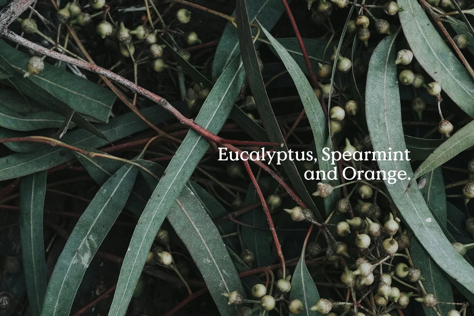 Classic All is Calm Candle