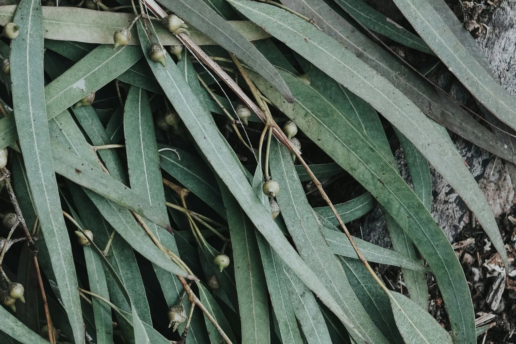 Classic All is Calm Candle