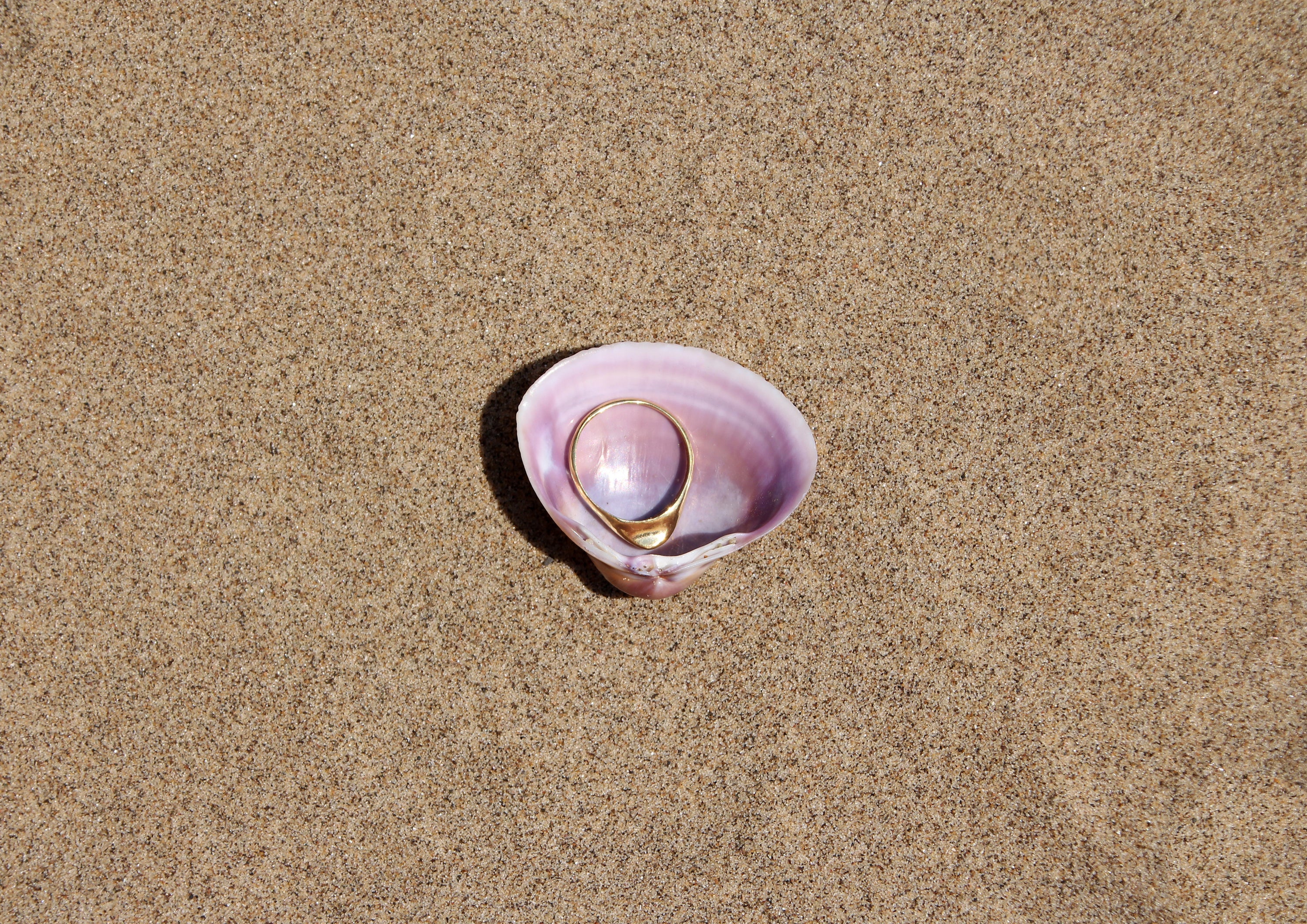 Venus Clam Ring - Silver