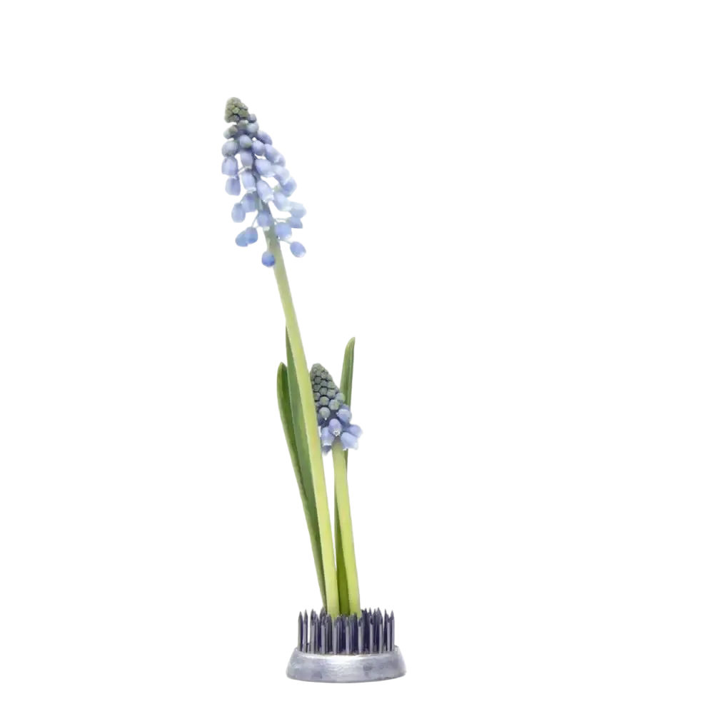 Floral Frog / Kenzan