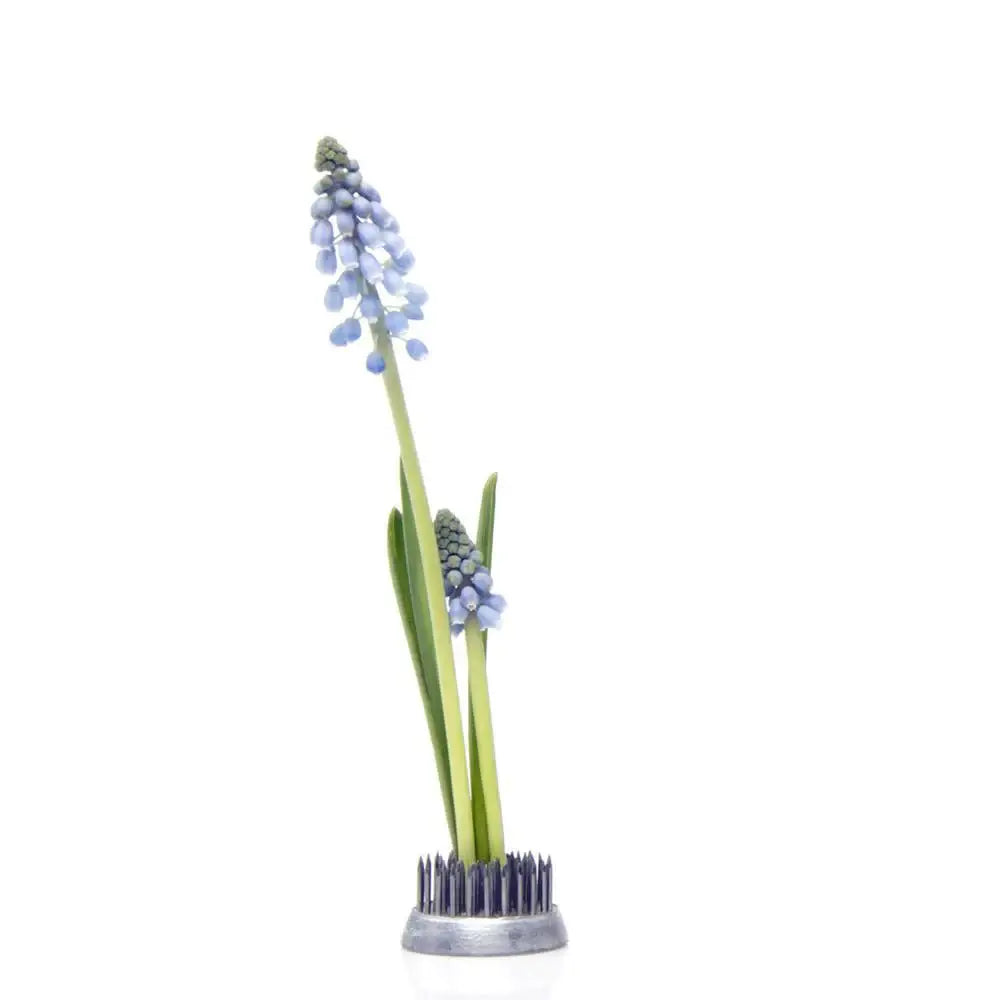 Floral Frog / Kenzan