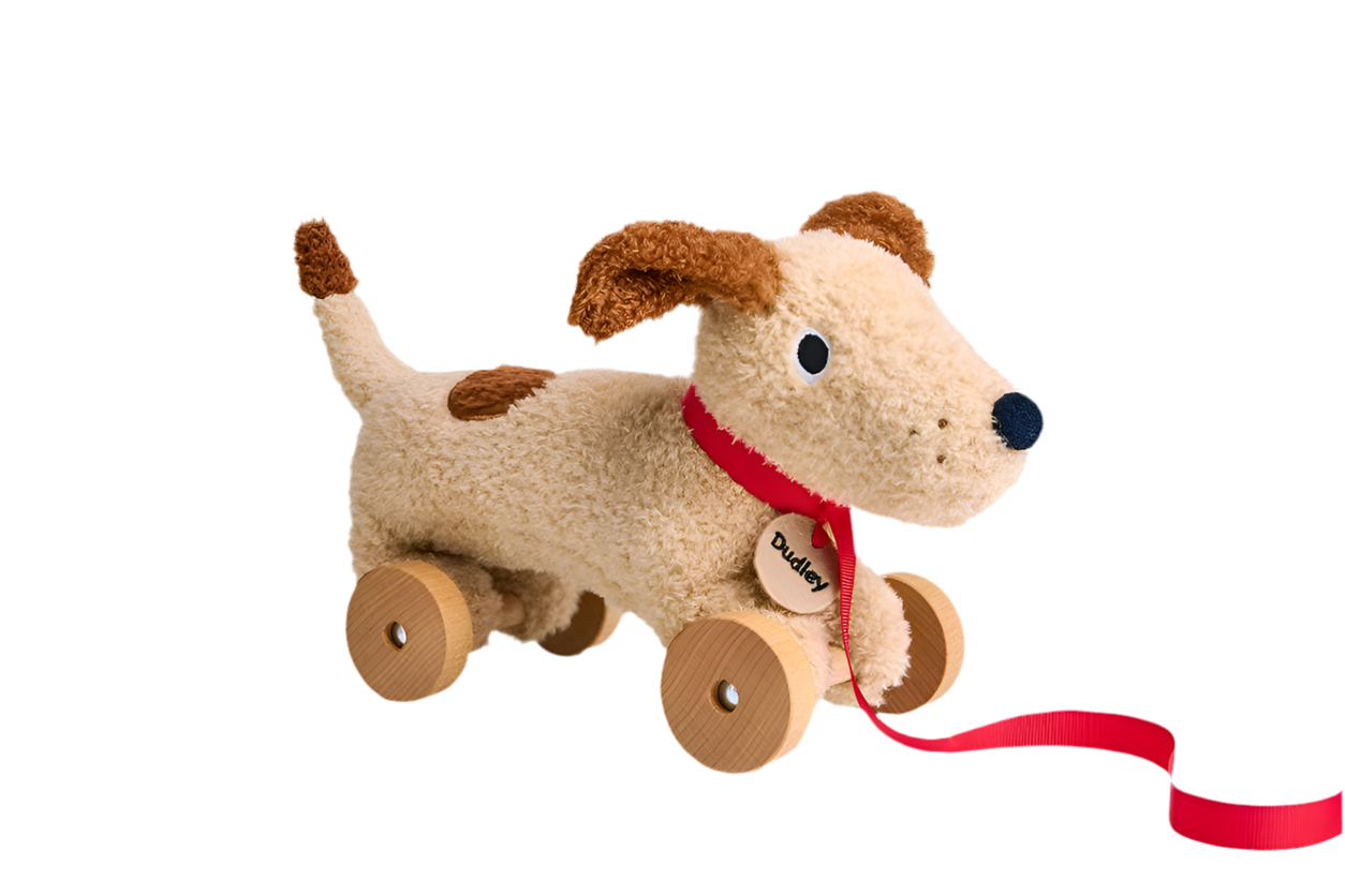 Dudley Pull Along Dog