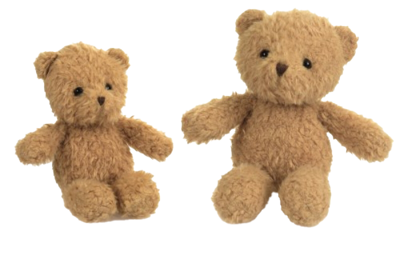 Morris Bear Still Life Story