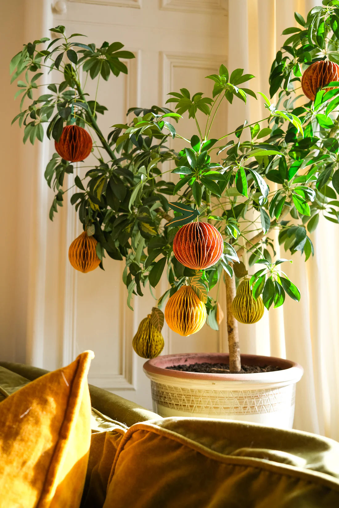 Honeycomb Orange