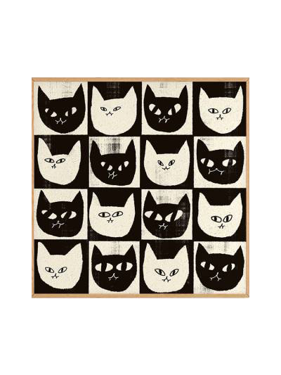 Black White Cat Poster