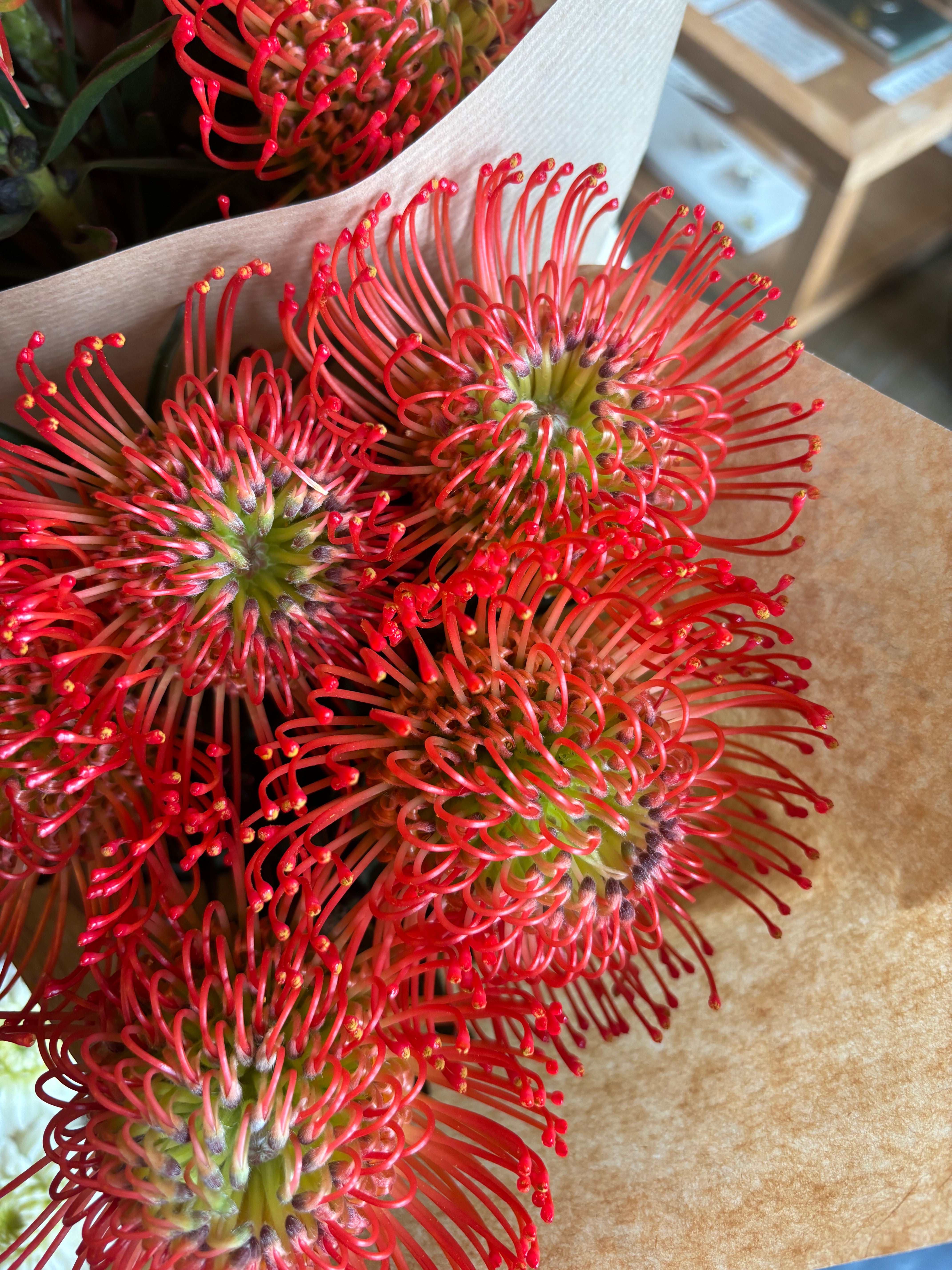 Leuco Flowers - 5 Stems