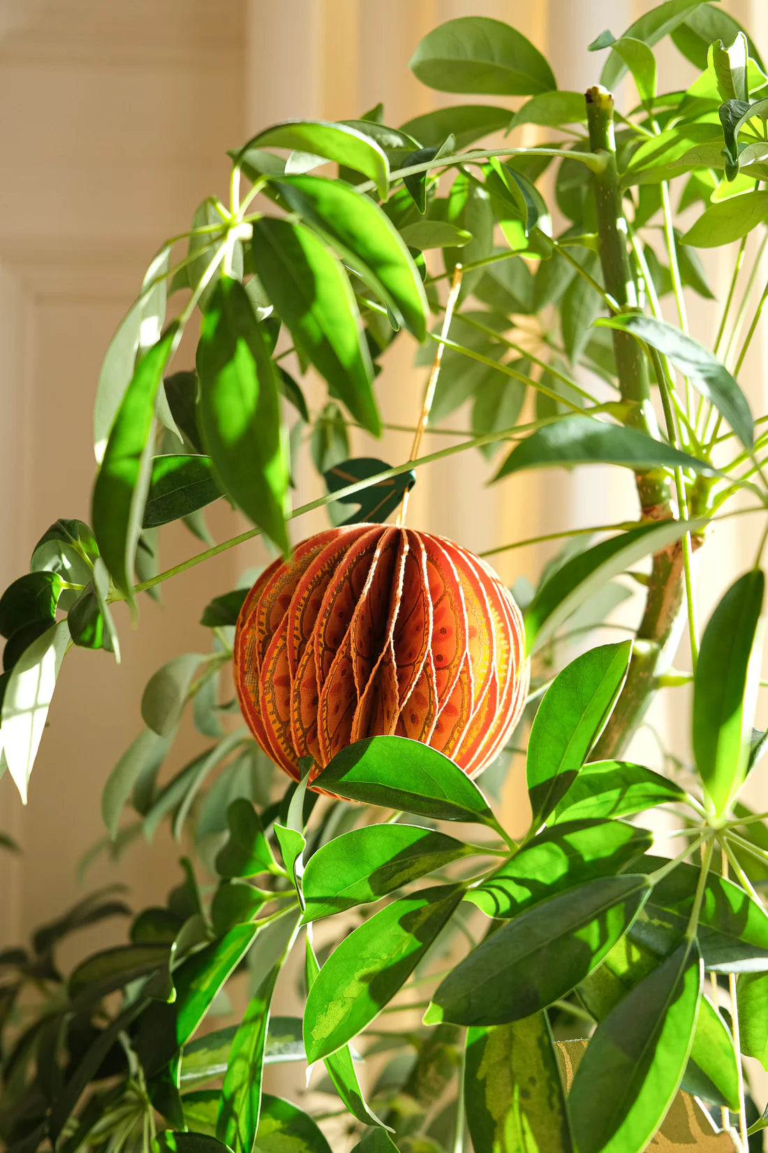 Honeycomb Orange