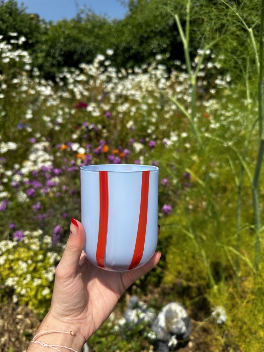 Blue/Red Tumbler