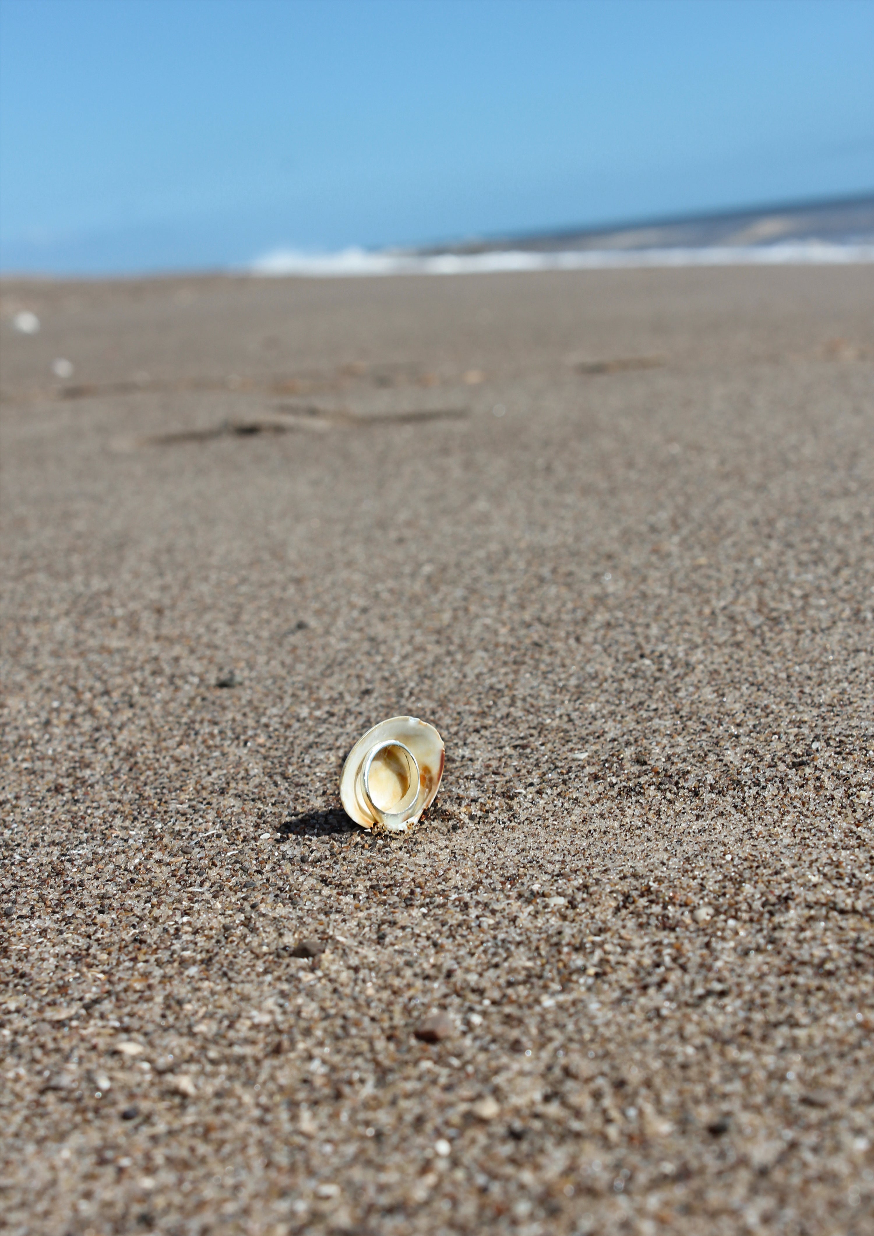 Venus Clam Ring - Silver