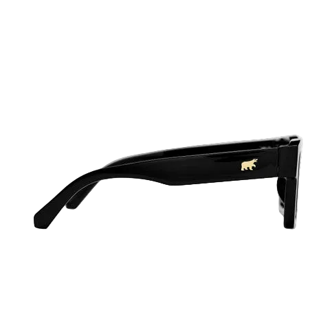 Max Sunglasses Black