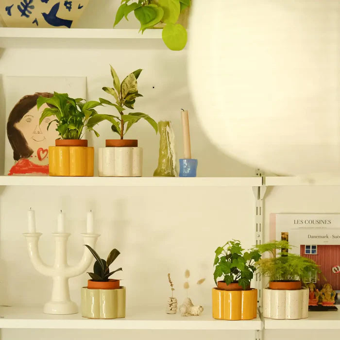 Small Paula Self-Watering Pot - Textured White