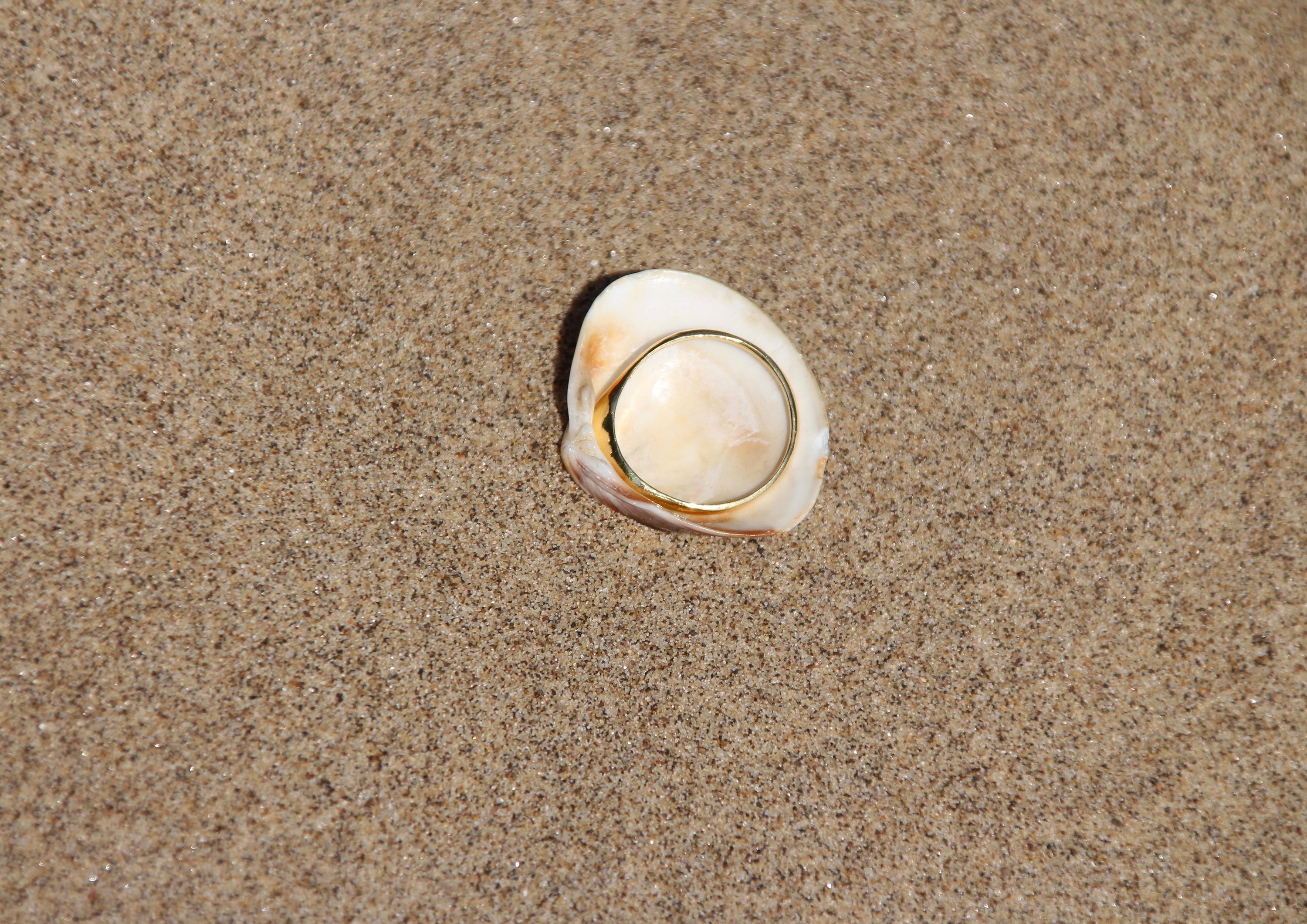 Venus Clam Ring - Silver