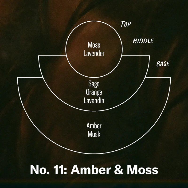 Amber and Moss Reed Diffuser