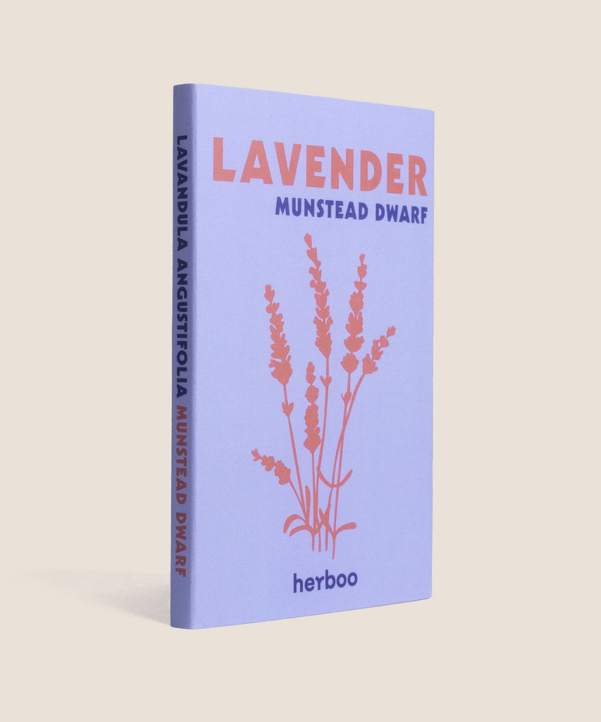 Lavender ‘Munstead Dwarf’ Seeds