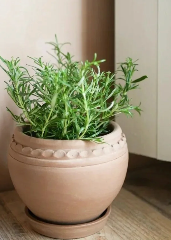 Tuscan Plant Pots - Set of 2