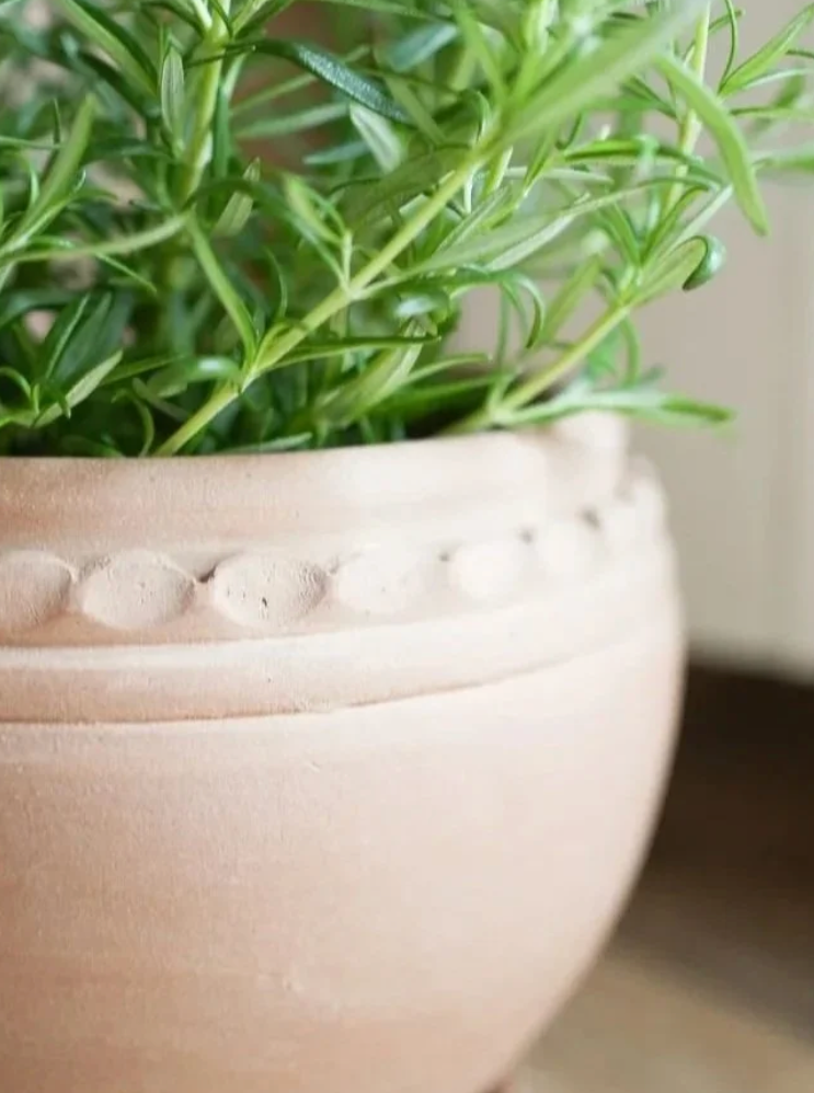 Tuscan Plant Pots - Set of 2
