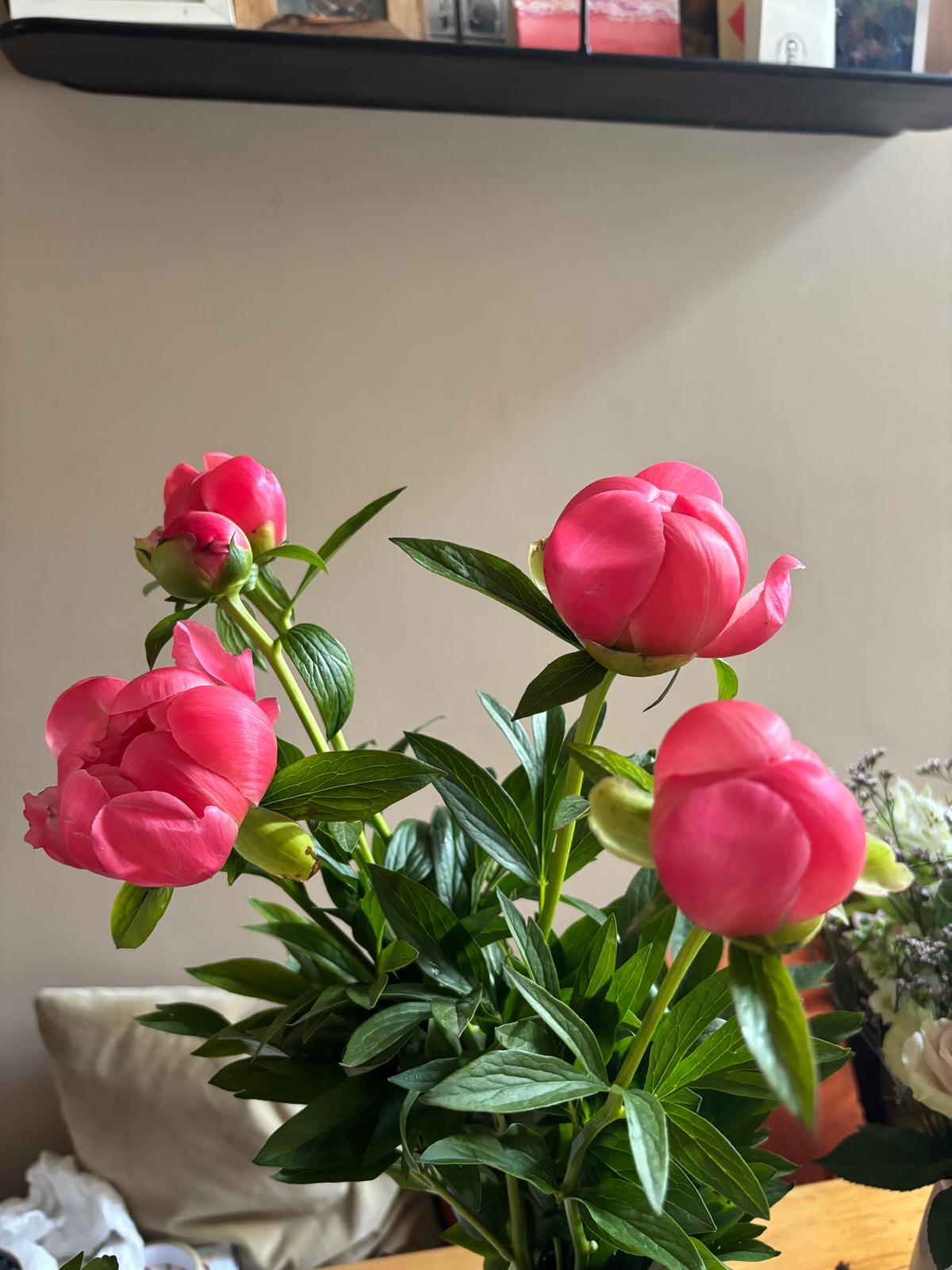 Peony Flower Bunch - 5 stems