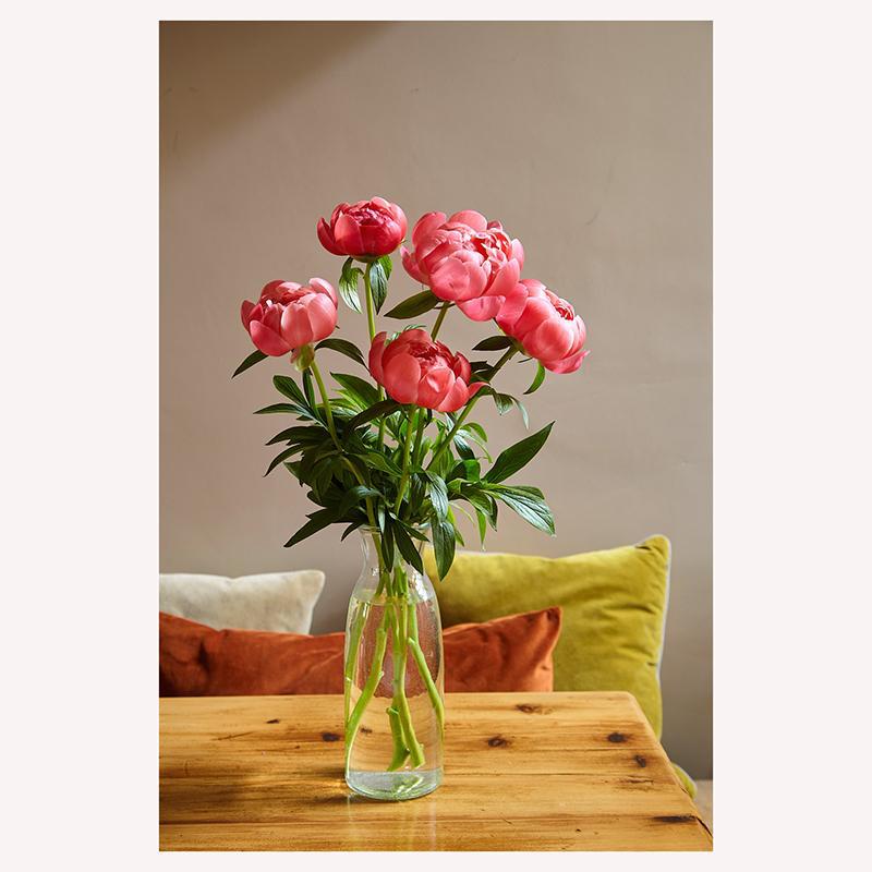 Peony Flower Bunch - 5 stems