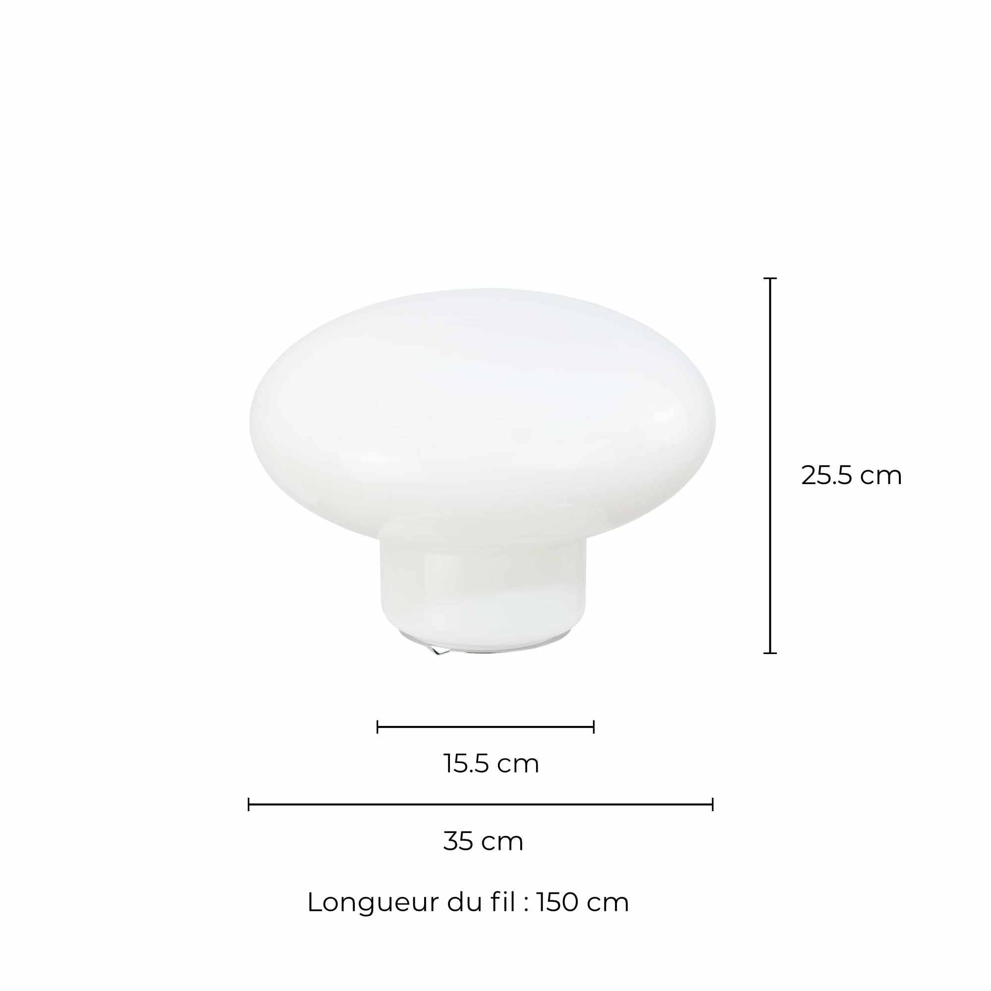 XXL Ovalie Coloured Glass Lamp