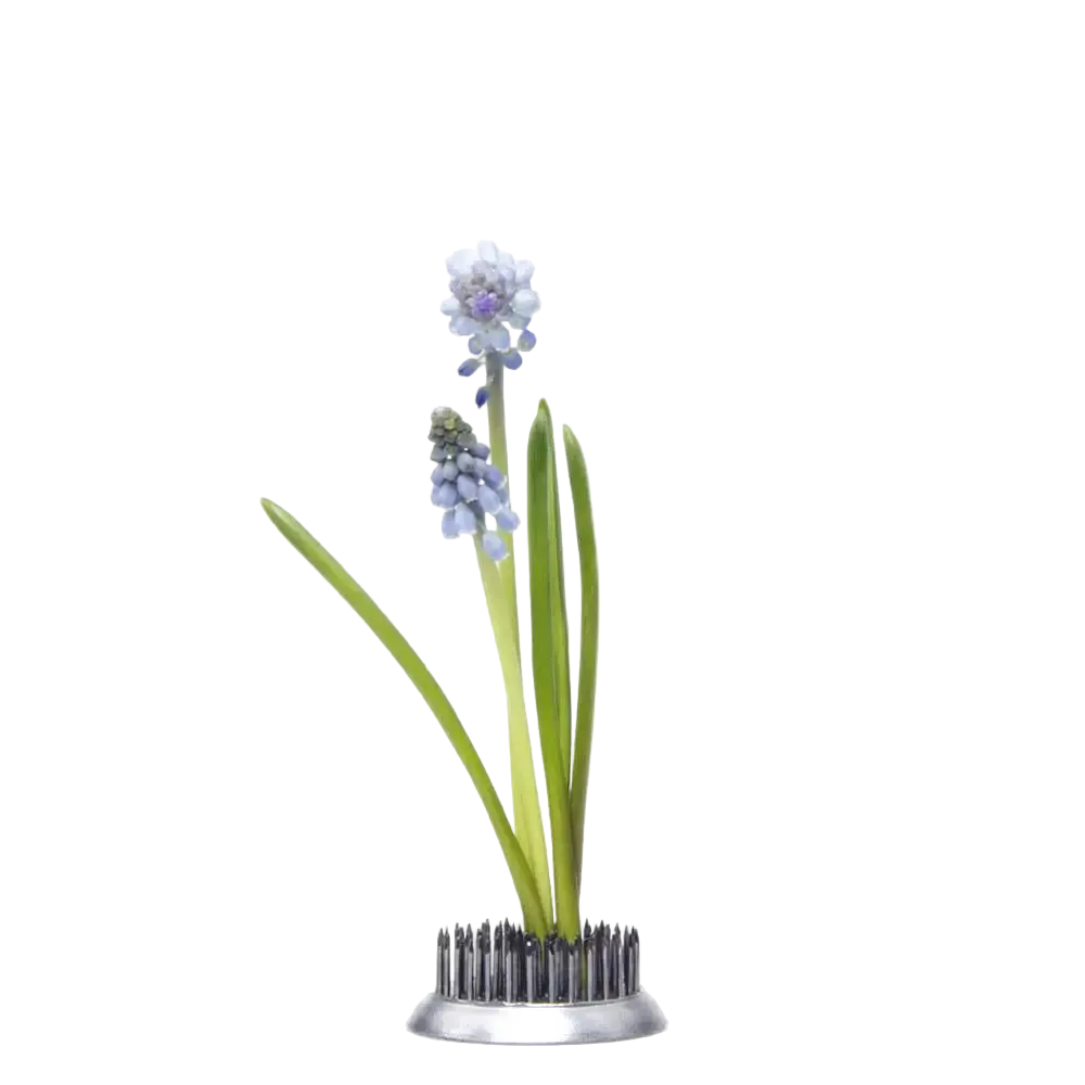 Floral Frog / Kenzan