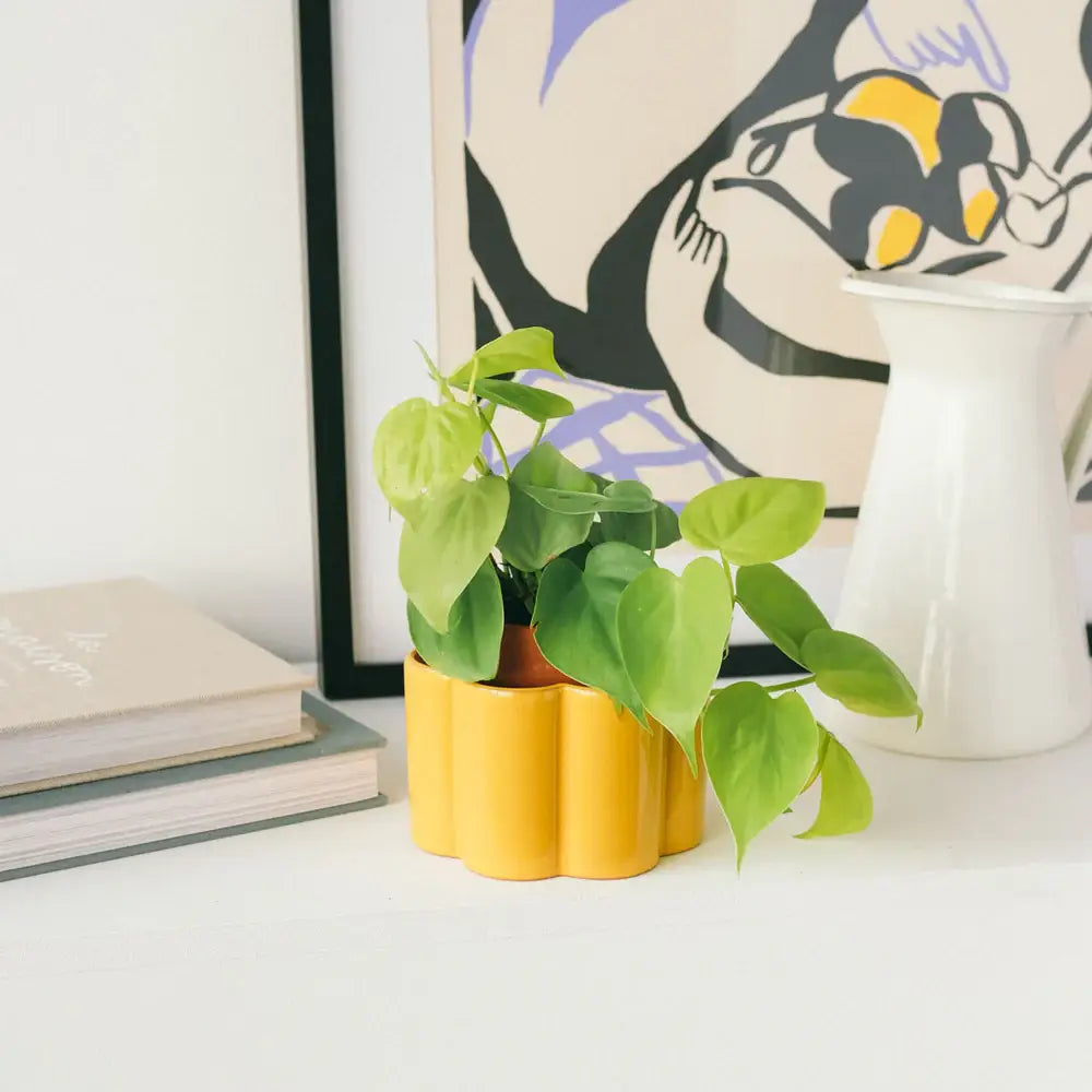 Self-watering pot Paulita (S) - Mustard yellow
