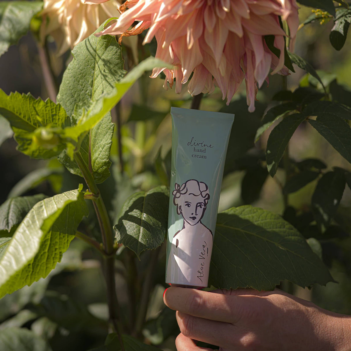 Aloe Vera | Hand Cream