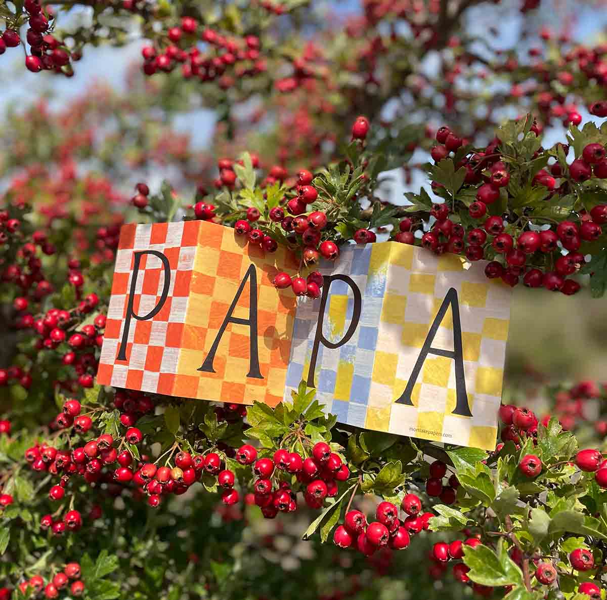Papa Card | Dad Card | Father's Day Card | Dad Birthday Card