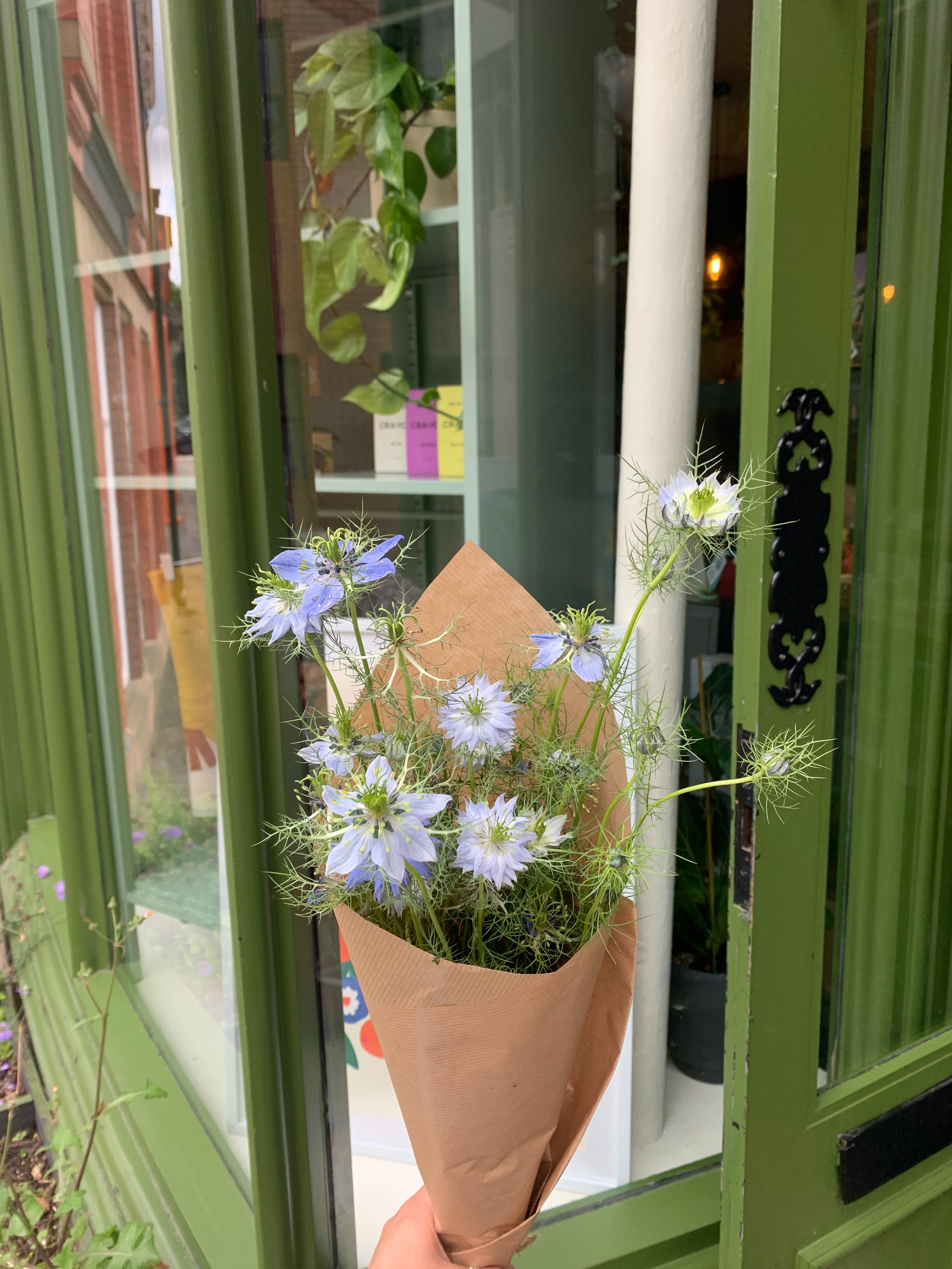 Nigella Flower Bunch