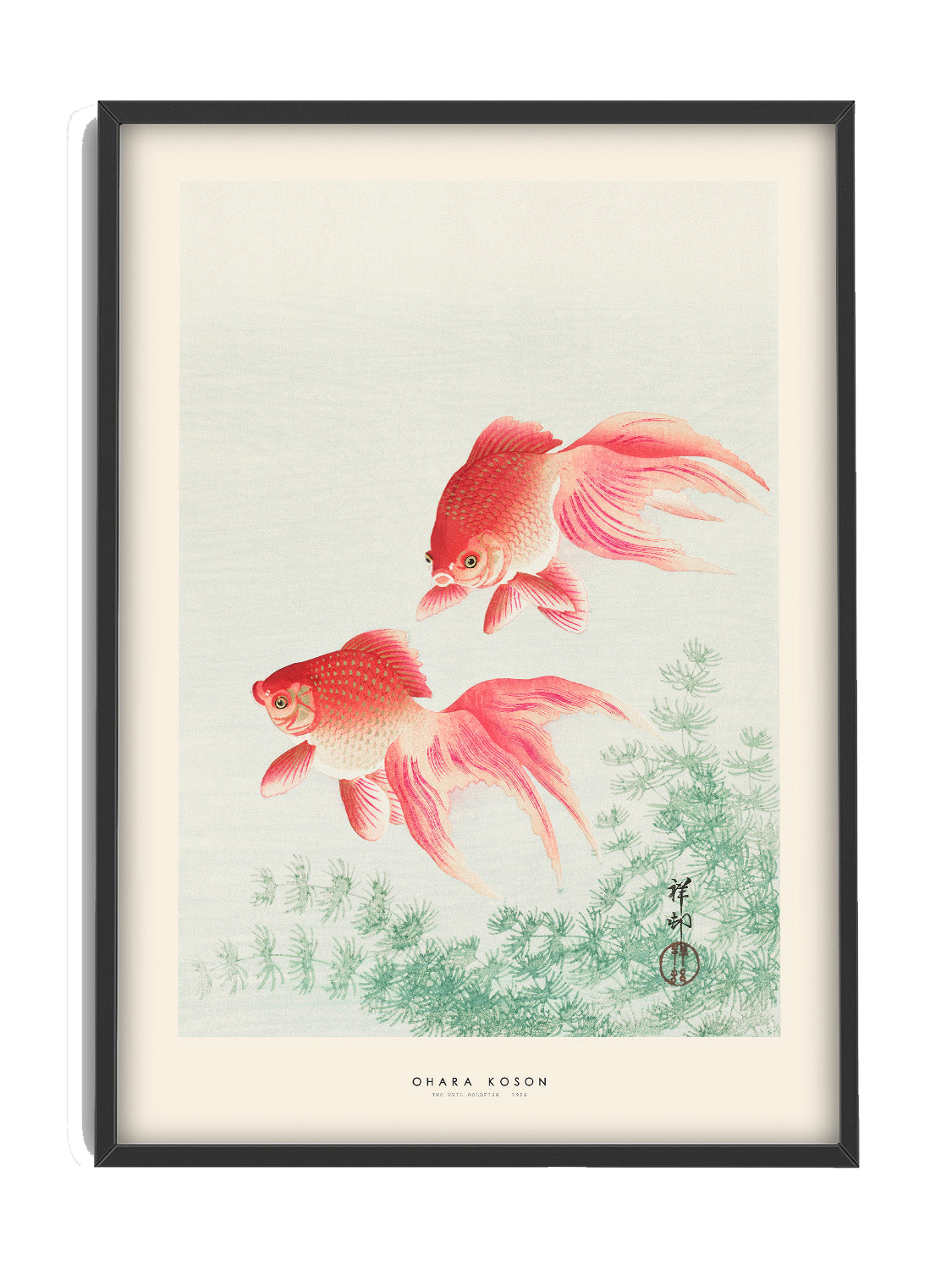 Two Veil Goldfish Poster