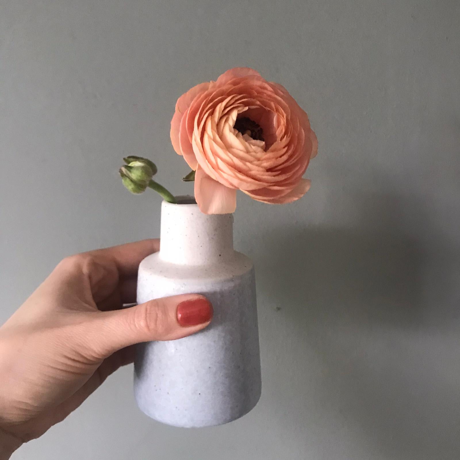 Ranunculus flower Bunch