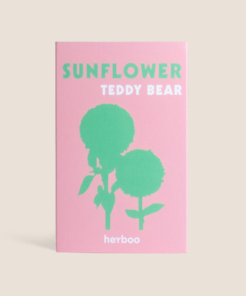Sunflower ‘Teddy Bear’ Seeds