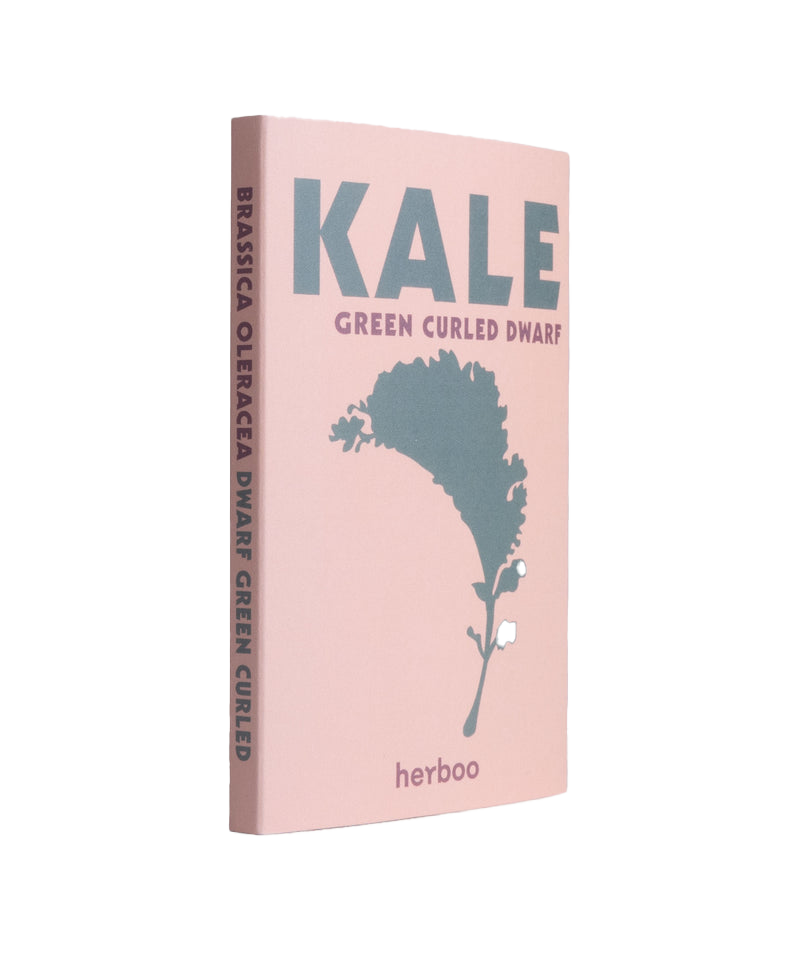 Kale ‘Green Curled Dwarf’ Seeds